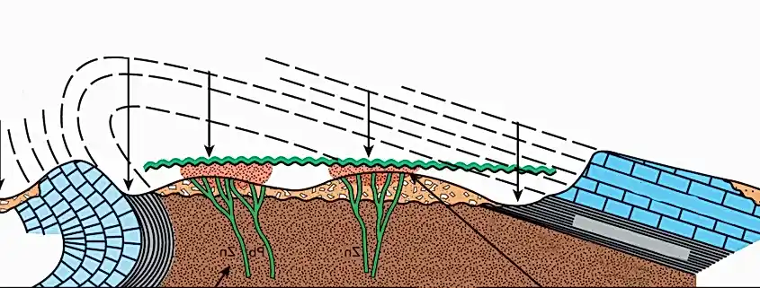 Madenler nasıl oluşur